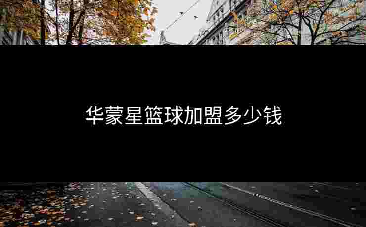 华蒙星篮球加盟多少钱 华蒙星篮球加盟多少钱